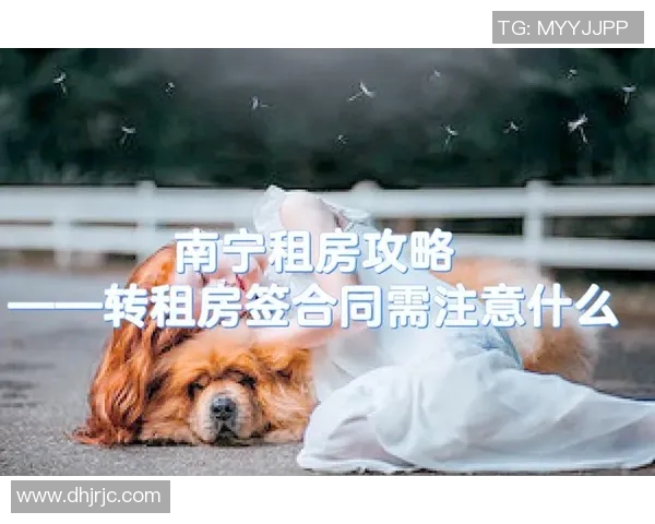 如何选择合适的房屋租赁合同以及租房注意事项全面解析